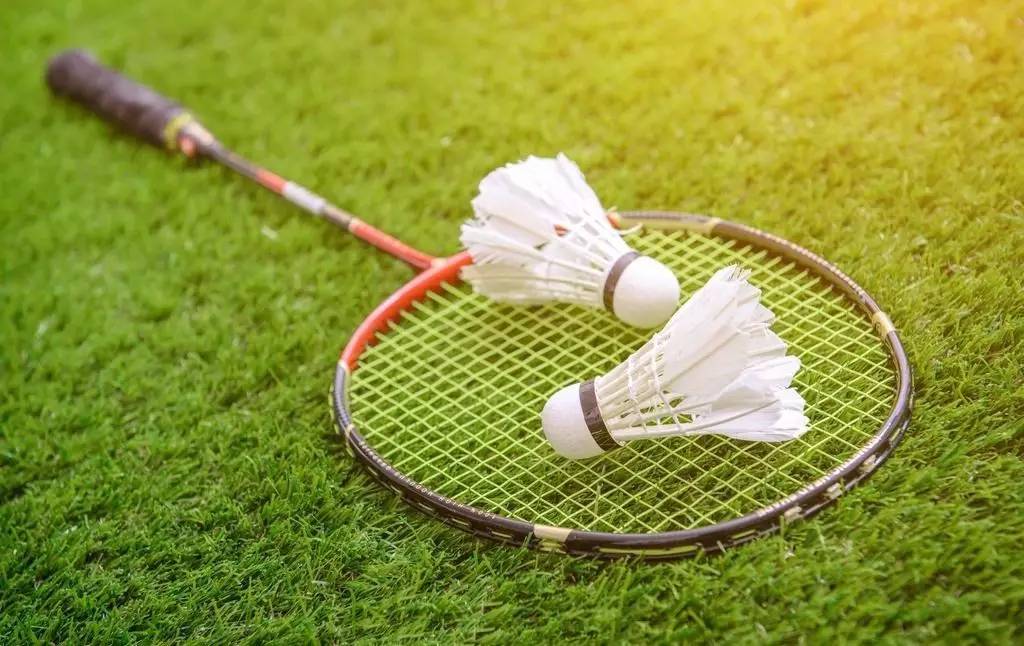 色球员的价 色球员的价