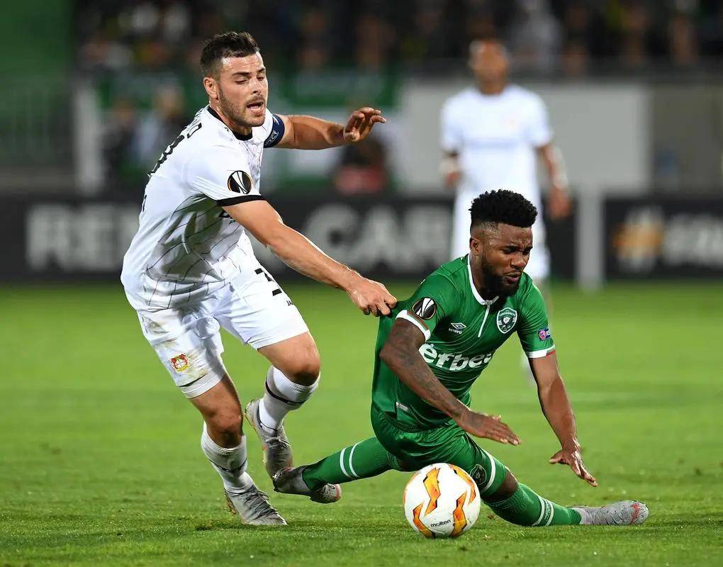 两大传统豪 两大传统豪